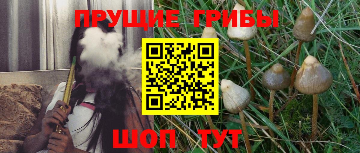 Альметьевск  Галлюциногенные грибы ЛСД  Вход с VPN  где купить наркоту  Галлюциногенные грибы Cubensis 
