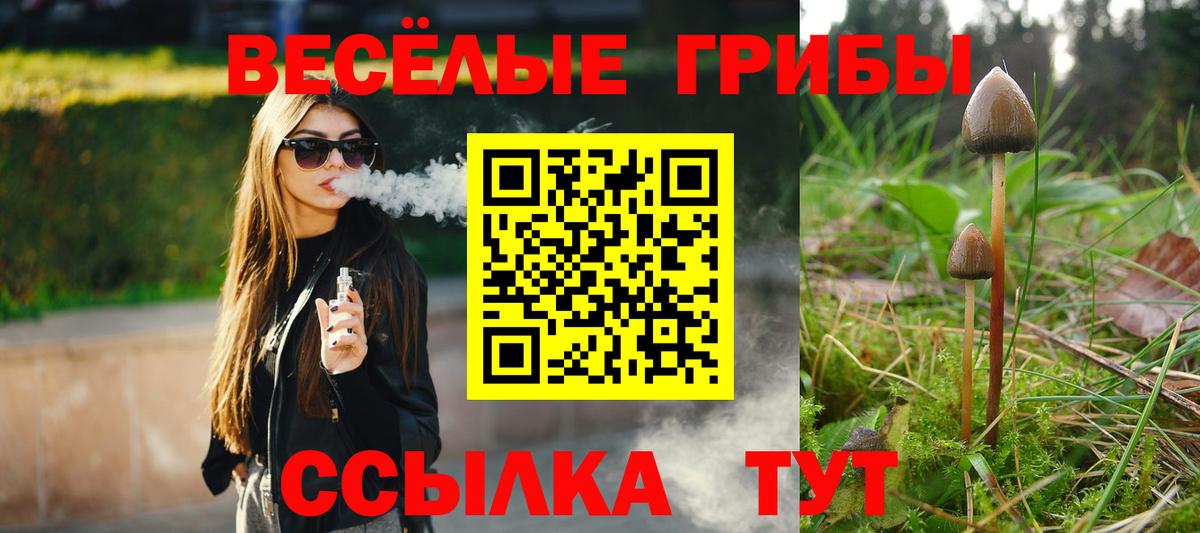 Псилоцибиновые грибы мицелий Альметьевск